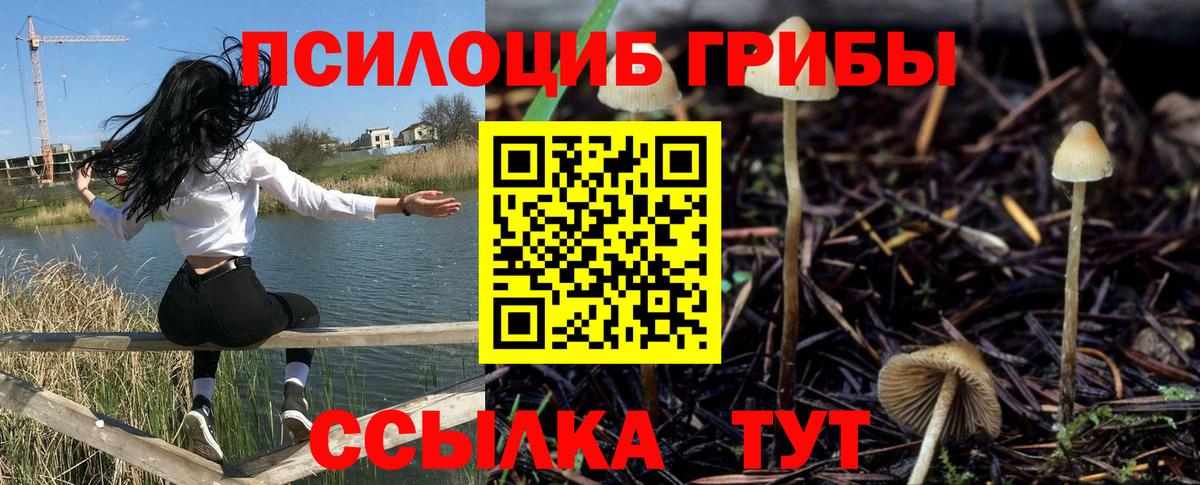 Галлюциногенные грибы GOLDEN TEACHER Великие Луки