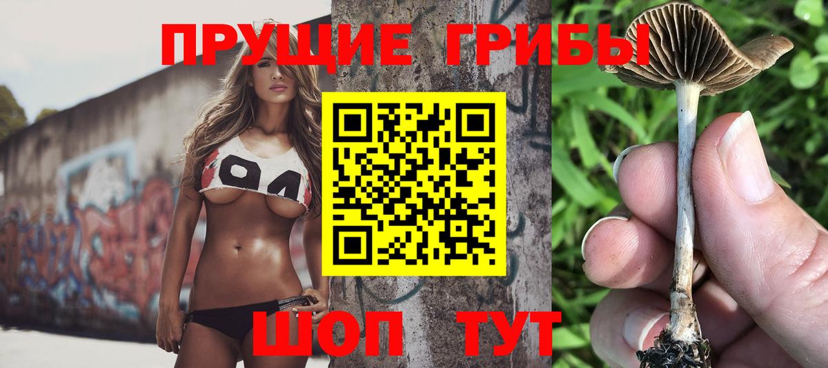 Псилоцибиновые грибы GOLDEN TEACHER  Галлюциногенные грибы Psilocybine cubensis  Вход с VPN  Великие Луки 