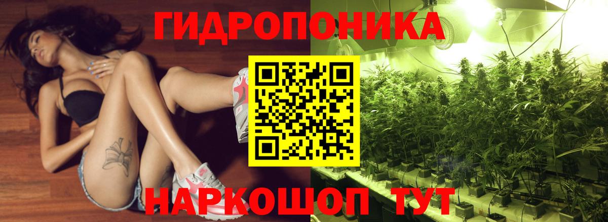 Марихуана сатива  Канабис Ganja  Вход с VPN  Великие Луки 